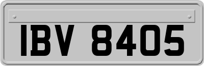 IBV8405