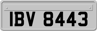 IBV8443