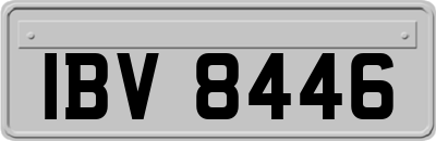IBV8446