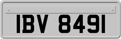 IBV8491