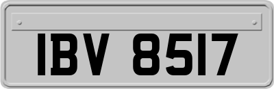 IBV8517