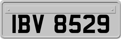 IBV8529