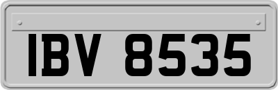 IBV8535