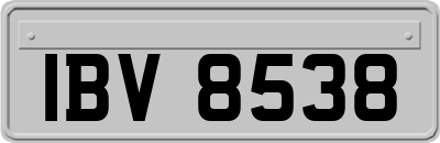 IBV8538