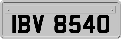 IBV8540