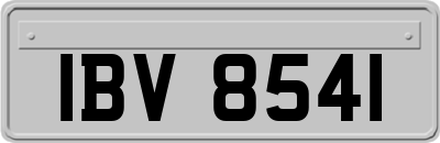 IBV8541