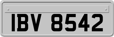 IBV8542