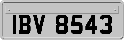 IBV8543