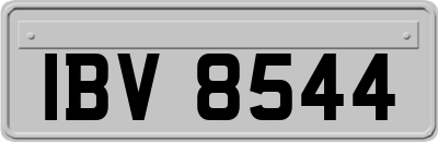 IBV8544