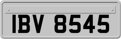 IBV8545
