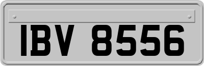 IBV8556