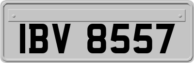 IBV8557