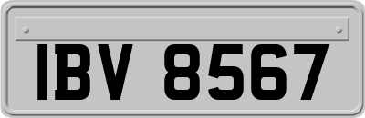 IBV8567