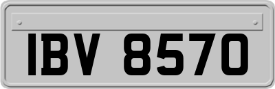 IBV8570