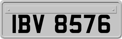 IBV8576