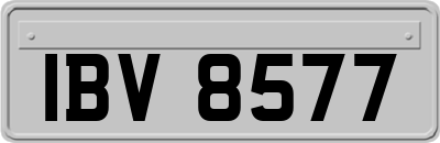 IBV8577