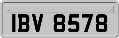 IBV8578