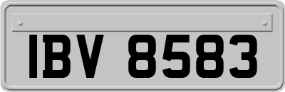 IBV8583