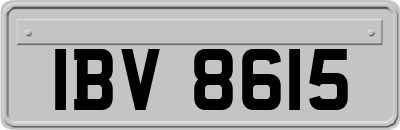 IBV8615