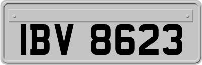 IBV8623