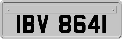 IBV8641