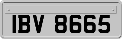 IBV8665