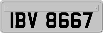 IBV8667