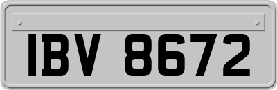 IBV8672