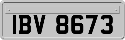 IBV8673