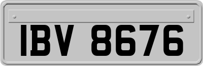 IBV8676