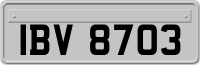 IBV8703