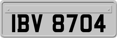 IBV8704