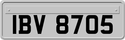 IBV8705