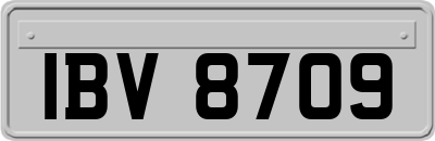 IBV8709