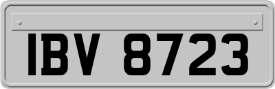 IBV8723