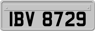 IBV8729