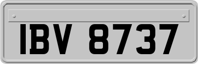 IBV8737