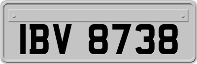 IBV8738