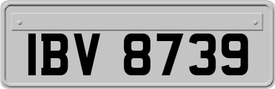 IBV8739