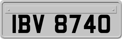 IBV8740