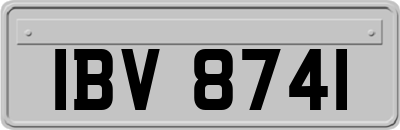 IBV8741