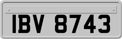 IBV8743