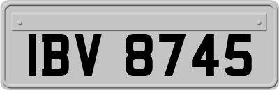 IBV8745