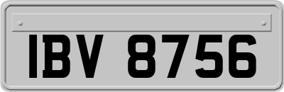IBV8756