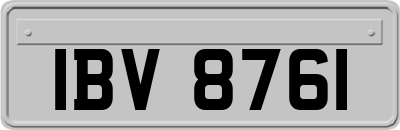 IBV8761