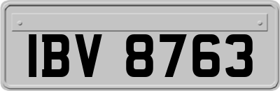 IBV8763