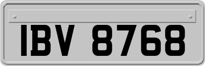 IBV8768