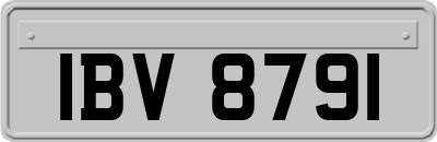 IBV8791