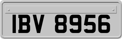 IBV8956