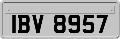 IBV8957